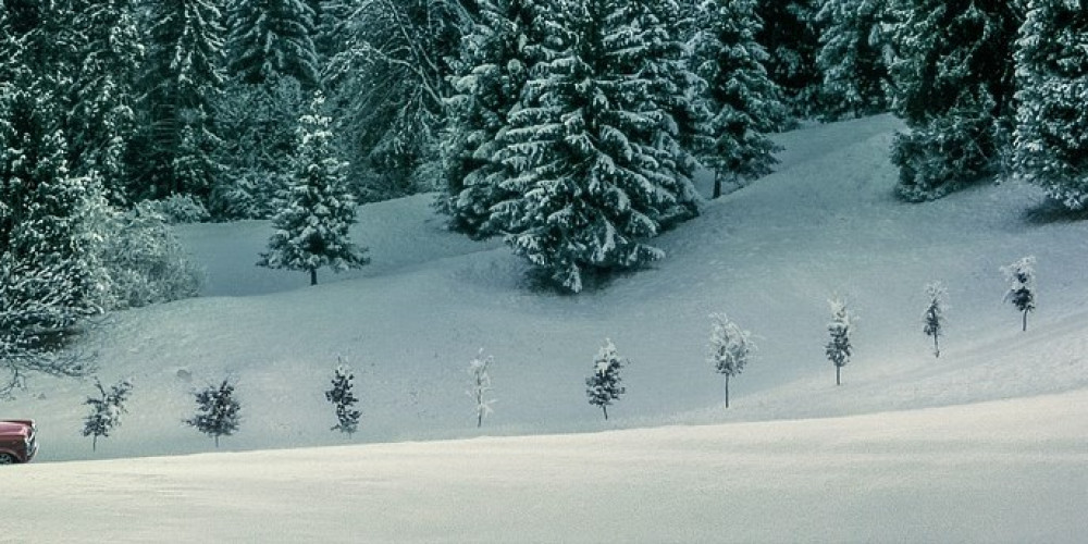 Wintersport